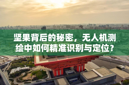 坚果背后的秘密，无人机测绘中如何精准识别与定位？