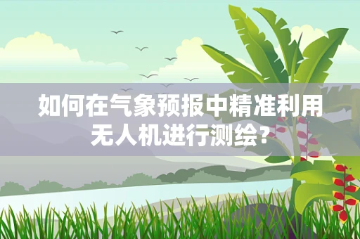 如何在气象预报中精准利用无人机进行测绘？