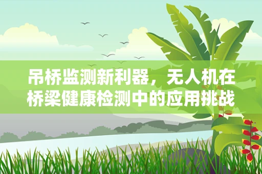 吊桥监测新利器，无人机在桥梁健康检测中的应用挑战