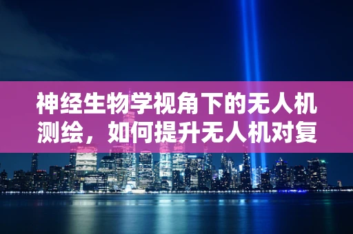 神经生物学视角下的无人机测绘，如何提升无人机对复杂环境的感知能力？