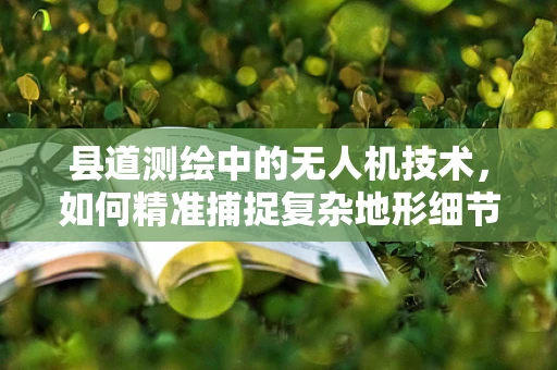 县道测绘中的无人机技术，如何精准捕捉复杂地形细节？