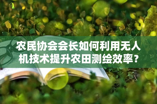 农民协会会长如何利用无人机技术提升农田测绘效率？