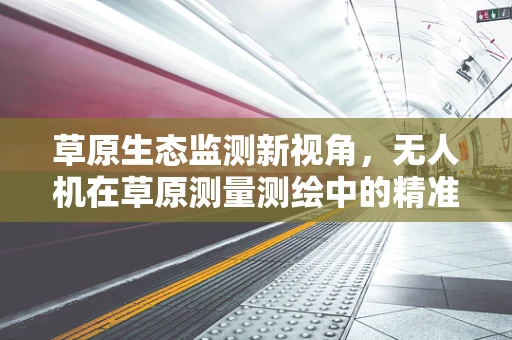 草原生态监测新视角，无人机在草原测量测绘中的精准度挑战