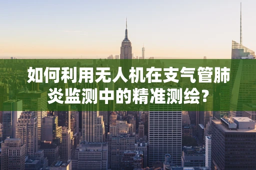 如何利用无人机在支气管肺炎监测中的精准测绘？