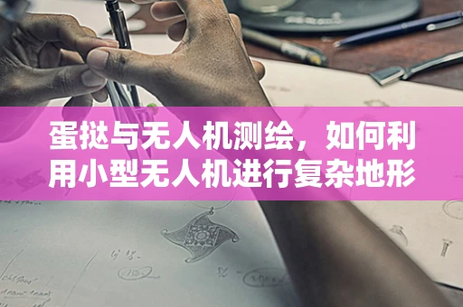 蛋挞与无人机测绘，如何利用小型无人机进行复杂地形下的精准测量？