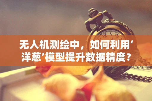 无人机测绘中，如何利用‘洋葱’模型提升数据精度？