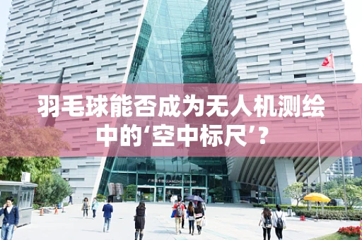 羽毛球能否成为无人机测绘中的‘空中标尺’？