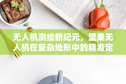 无人机测绘新纪元，坚果无人机在复杂地形中的精准定位挑战