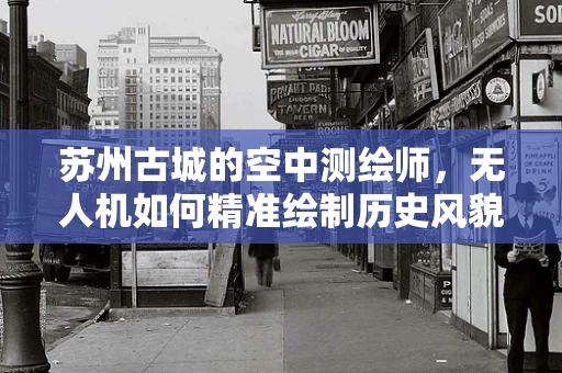 苏州古城的空中测绘师，无人机如何精准绘制历史风貌？
