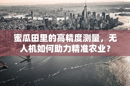 蜜瓜田里的高精度测量，无人机如何助力精准农业？