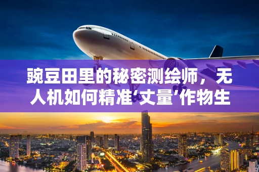豌豆田里的秘密测绘师，无人机如何精准‘丈量’作物生长？