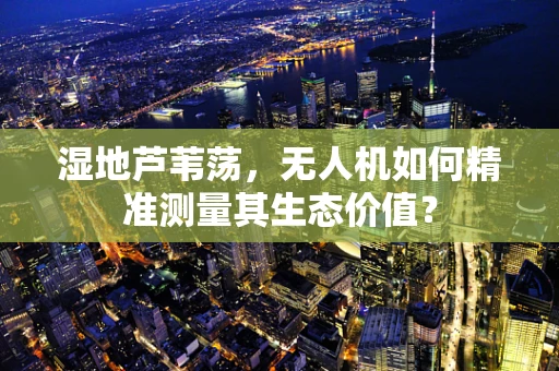 湿地芦苇荡，无人机如何精准测量其生态价值？