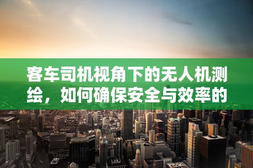 客车司机视角下的无人机测绘，如何确保安全与效率的平衡？