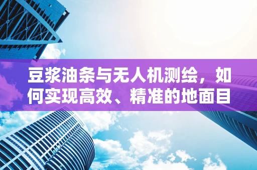 豆浆油条与无人机测绘，如何实现高效、精准的地面目标识别？