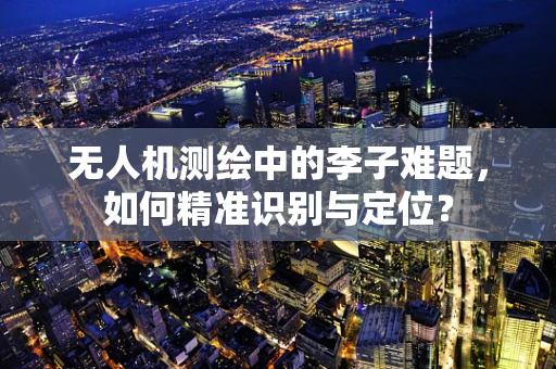 无人机测绘中的李子难题，如何精准识别与定位？