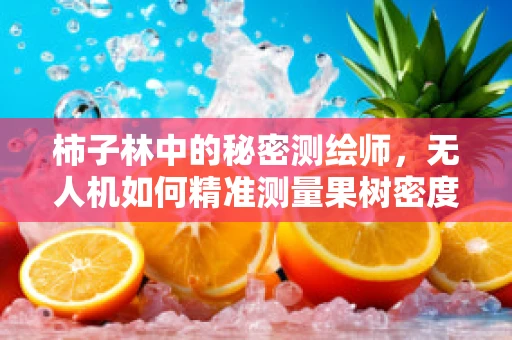 柿子林中的秘密测绘师，无人机如何精准测量果树密度？