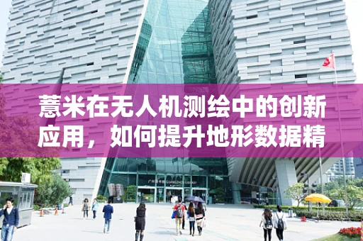 薏米在无人机测绘中的创新应用，如何提升地形数据精度？