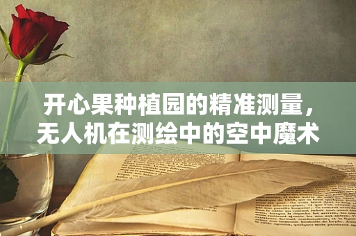 开心果种植园的精准测量，无人机在测绘中的空中魔术