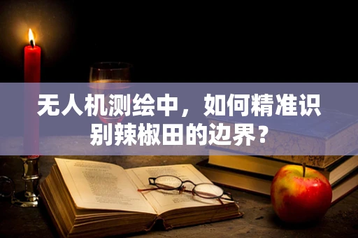 无人机测绘中，如何精准识别辣椒田的边界？