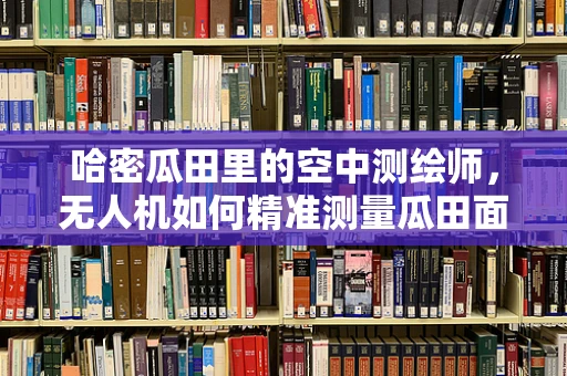 哈密瓜田里的空中测绘师，无人机如何精准测量瓜田面积？
