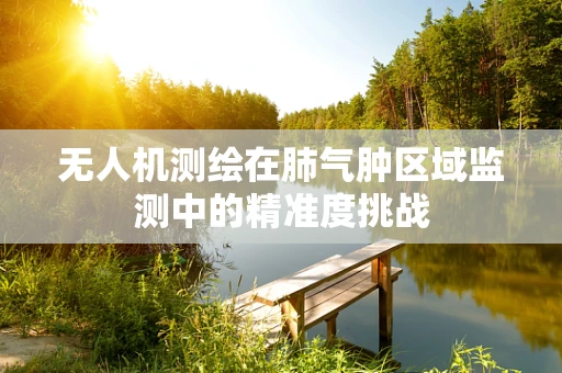 无人机测绘在肺气肿区域监测中的精准度挑战