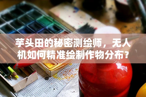 芋头田的秘密测绘师，无人机如何精准绘制作物分布？