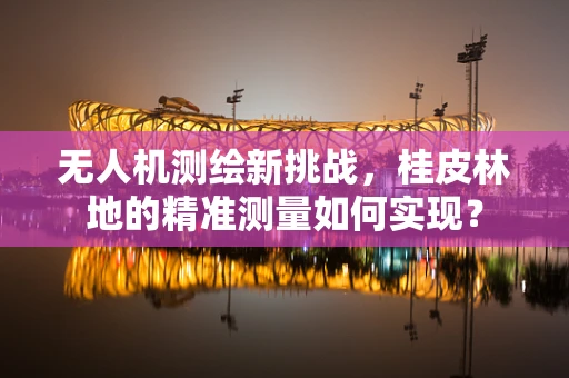 无人机测绘新挑战，桂皮林地的精准测量如何实现？