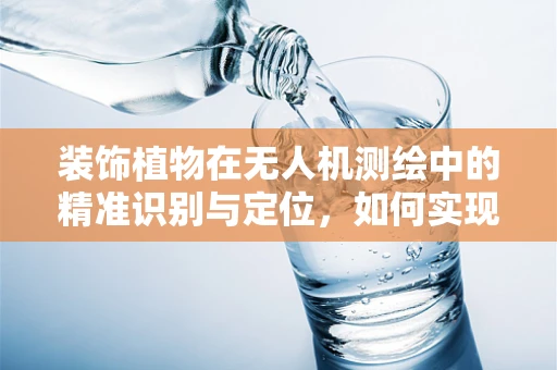 装饰植物在无人机测绘中的精准识别与定位，如何实现？