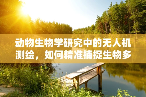 动物生物学研究中的无人机测绘，如何精准捕捉生物多样性数据？