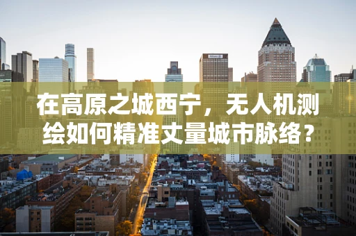 在高原之城西宁，无人机测绘如何精准丈量城市脉络？