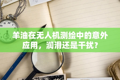 羊油在无人机测绘中的意外应用，润滑还是干扰？