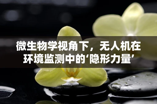 微生物学视角下，无人机在环境监测中的‘隐形力量’