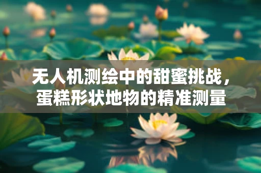 无人机测绘中的甜蜜挑战，蛋糕形状地物的精准测量