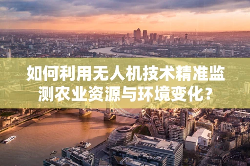 如何利用无人机技术精准监测农业资源与环境变化？