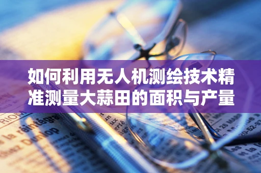 如何利用无人机测绘技术精准测量大蒜田的面积与产量？