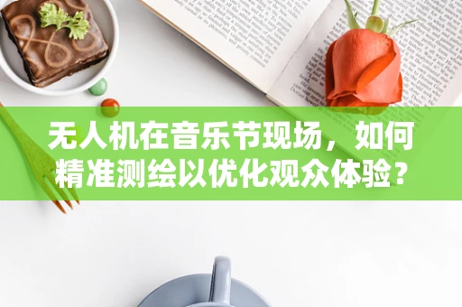 无人机在音乐节现场，如何精准测绘以优化观众体验？