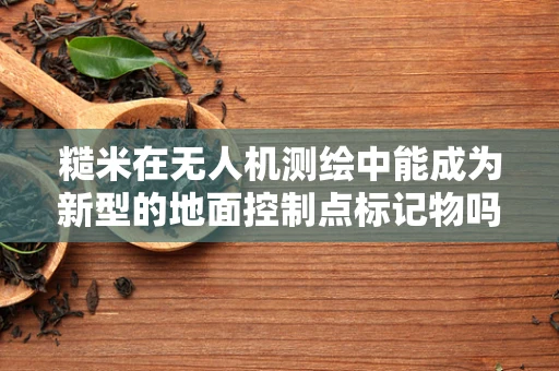 糙米在无人机测绘中能成为新型的地面控制点标记物吗？