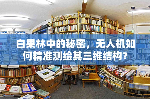 白果林中的秘密，无人机如何精准测绘其三维结构？
