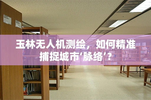 玉林无人机测绘，如何精准捕捉城市‘脉络’？