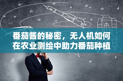 番茄酱的秘密，无人机如何在农业测绘中助力番茄种植？