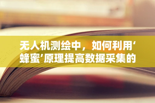 无人机测绘中，如何利用‘蜂蜜’原理提高数据采集的精准度？