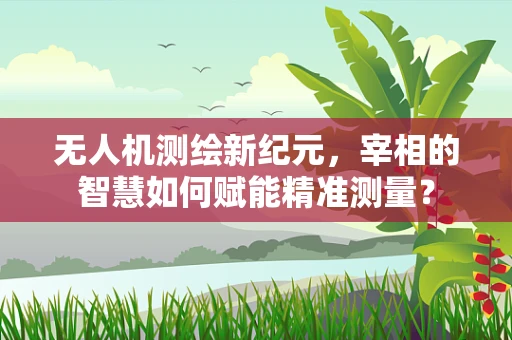 无人机测绘新纪元，宰相的智慧如何赋能精准测量？