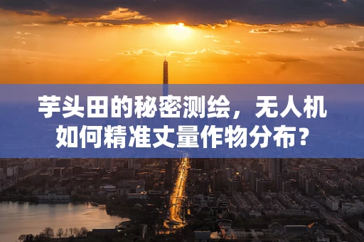 芋头田的秘密测绘，无人机如何精准丈量作物分布？