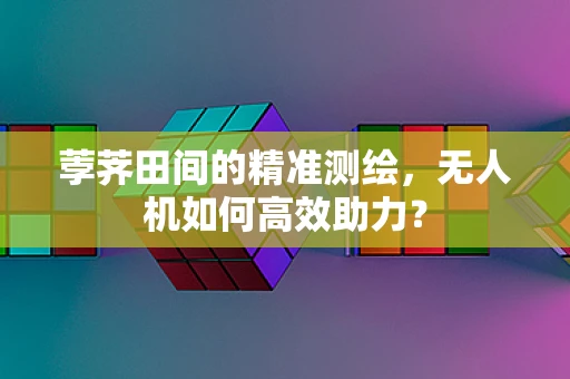 荸荠田间的精准测绘，无人机如何高效助力？