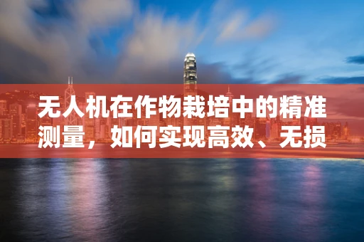 无人机在作物栽培中的精准测量，如何实现高效、无损的作物生长监测？
