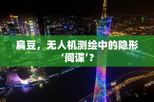扁豆，无人机测绘中的隐形‘间谍’？