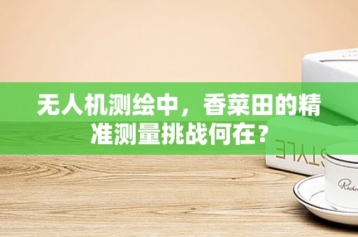 无人机测绘中，香菜田的精准测量挑战何在？
