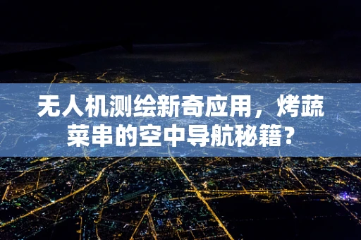 无人机测绘新奇应用，烤蔬菜串的空中导航秘籍？