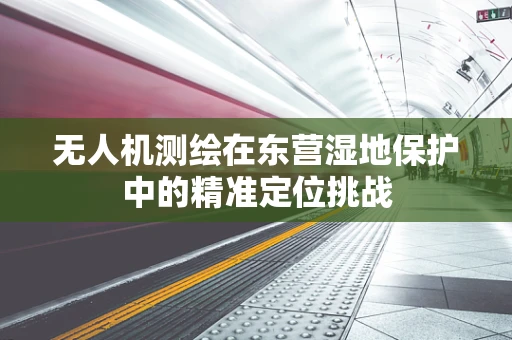无人机测绘在东营湿地保护中的精准定位挑战