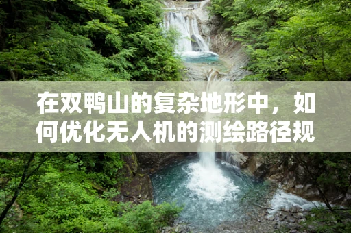 在双鸭山的复杂地形中，如何优化无人机的测绘路径规划？